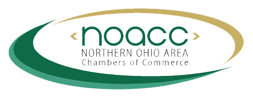 NOACC_2020Logo_500